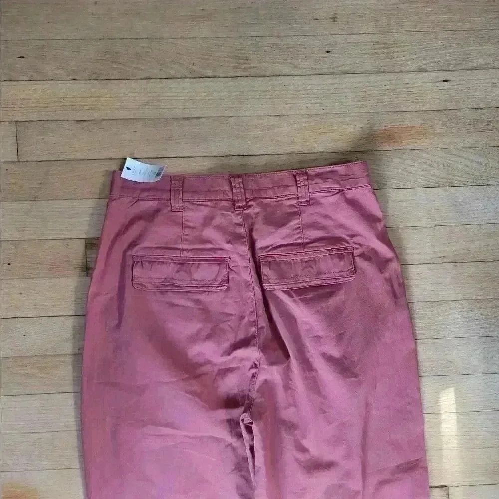 Joie Shore Cotton Burnt Clay Trouser Pants Size 10 - Picture 9 of 10